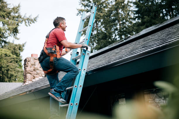 Best Roof Moss and Algae Removal  in La Honda, CA
